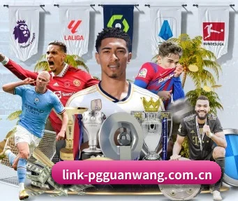 pg官网 APP
